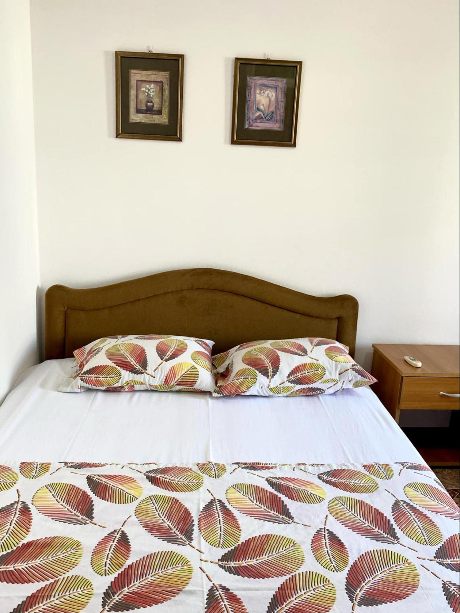 Dragovoja Lux Apartments & Rooms 울친 외부 사진